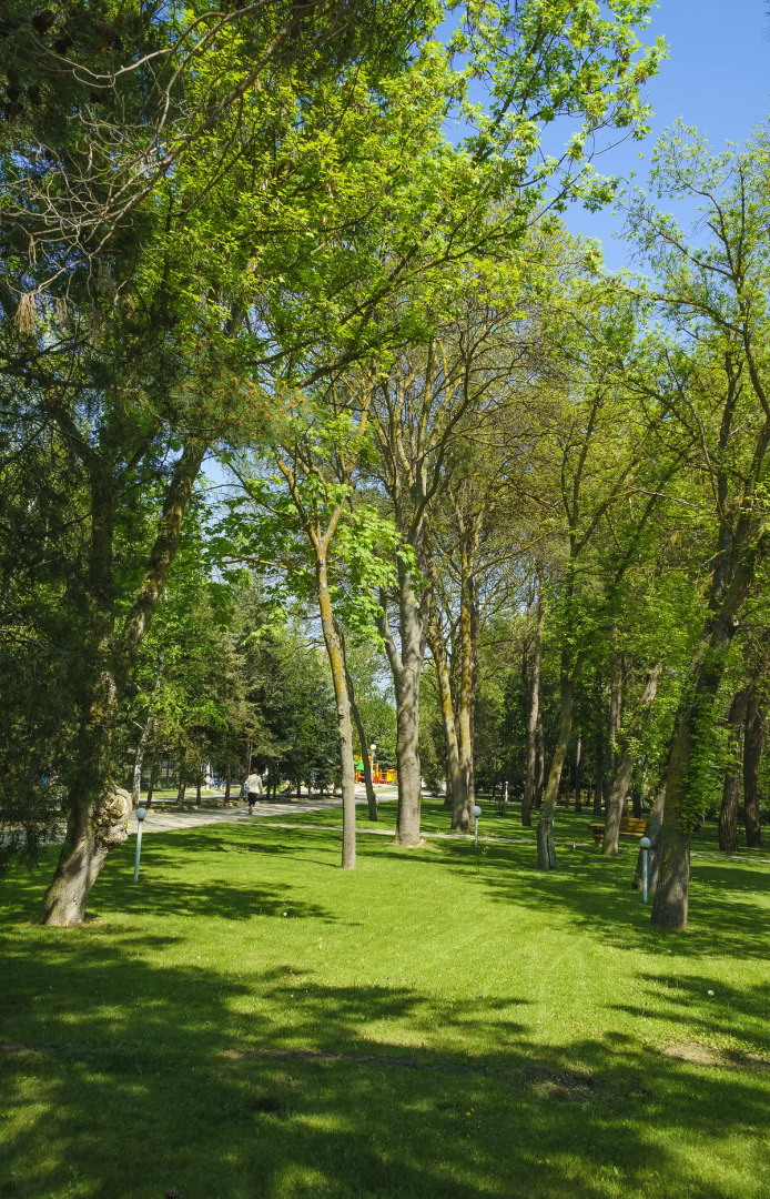 Санаторий Родник