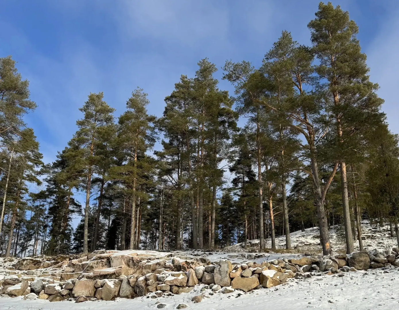 Частный дом Домики Ихоярви на озере (дом 4)