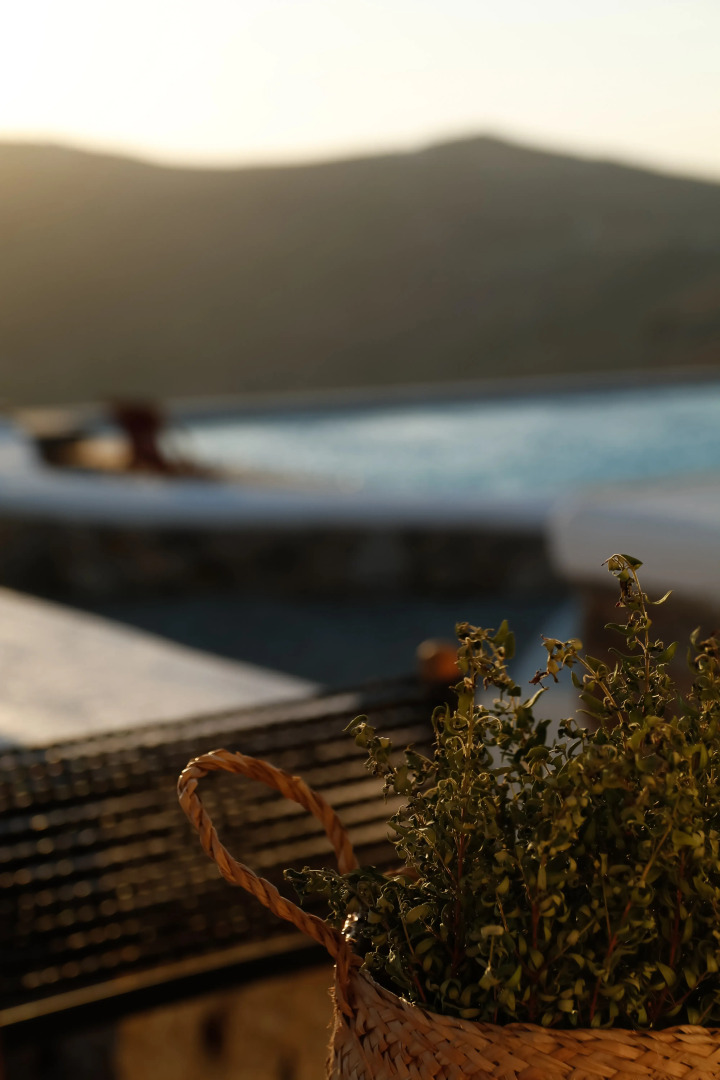 Отель Thronos Suites