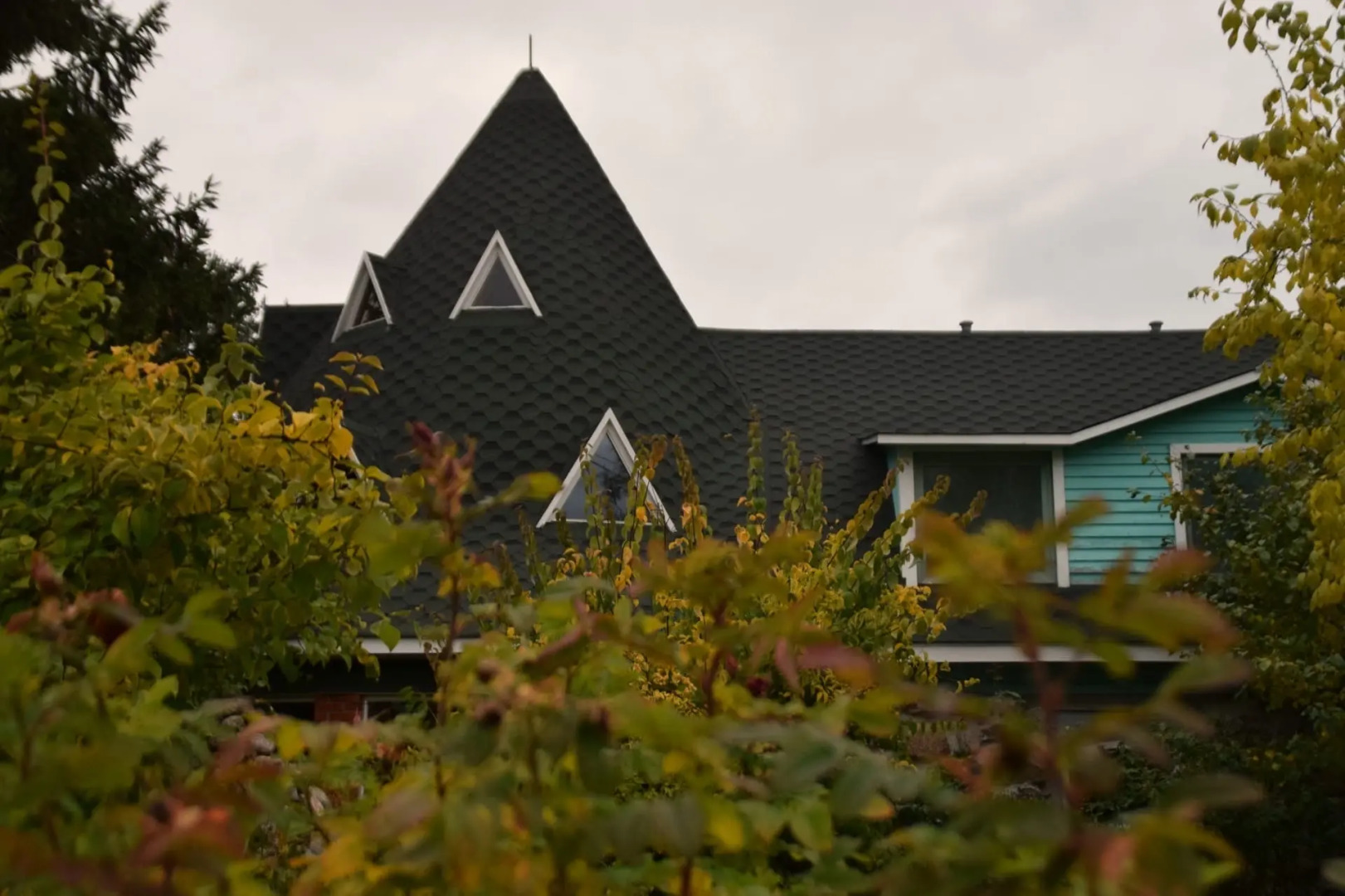 Хутор Старая Кууса