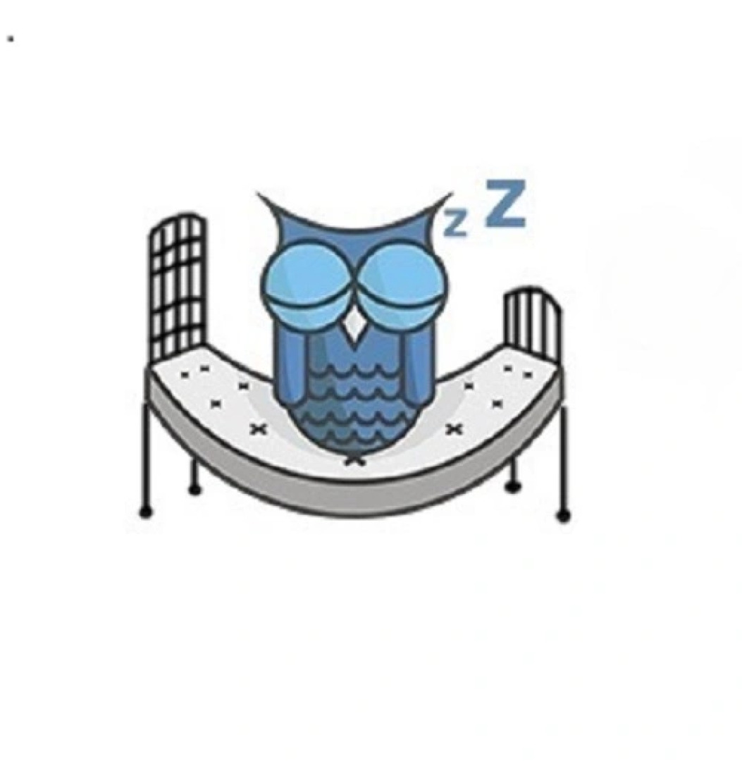 Хостел Oh, my bed!