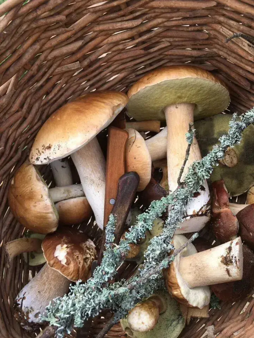 Частный дом 95