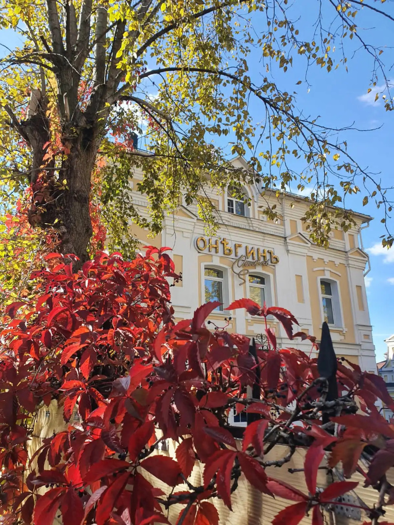 Отель Онегин