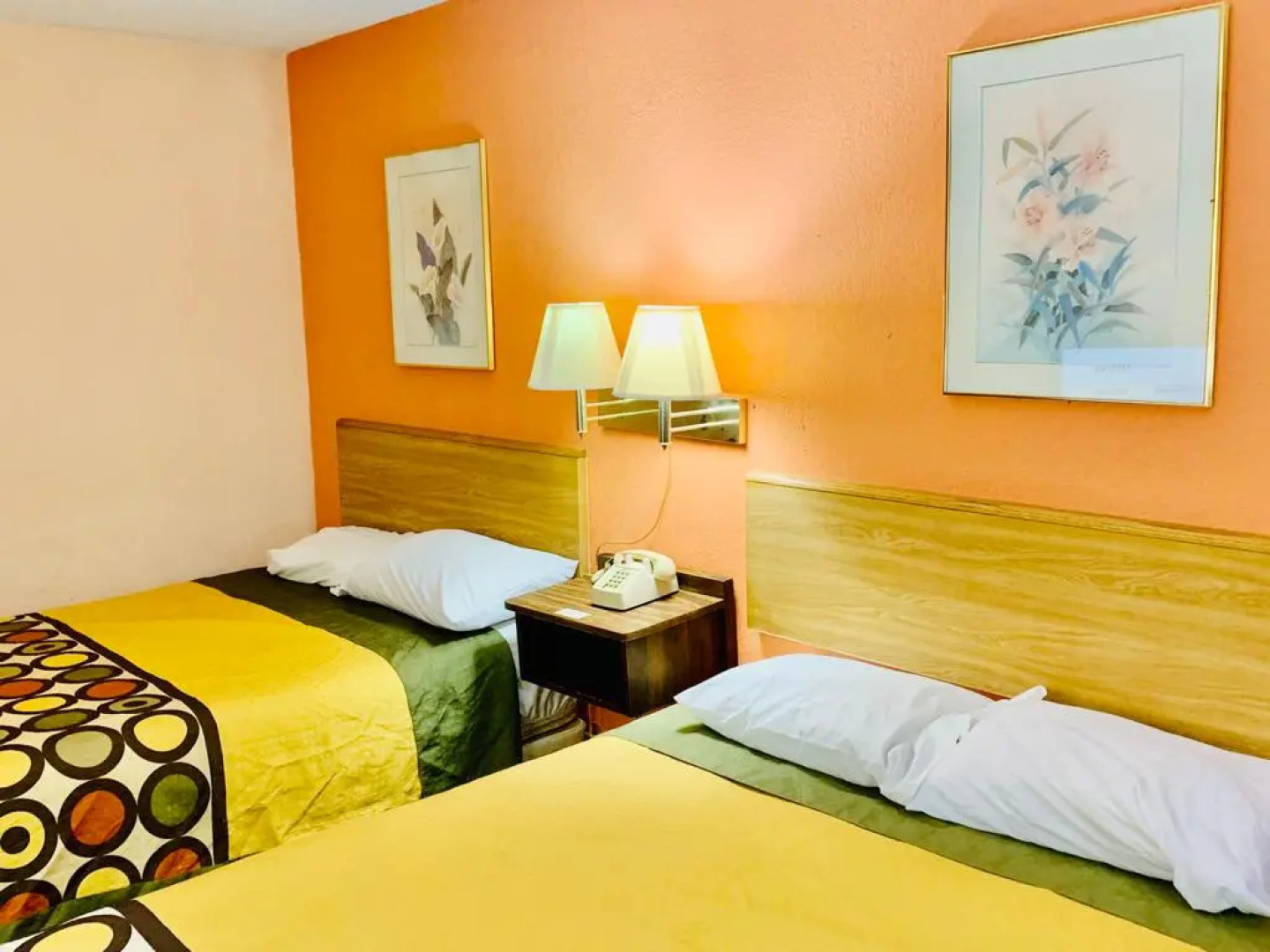 Отель Red carpet Inn & Suites