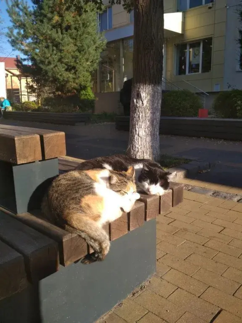 Апартаменты розовая на Солнечной улице 17