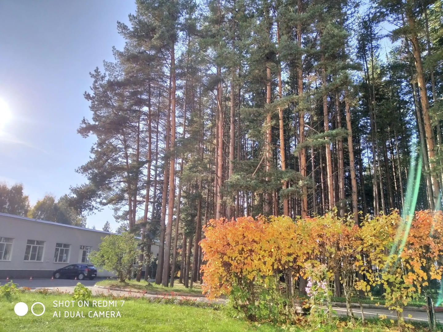 Санаторий Золотой Колос