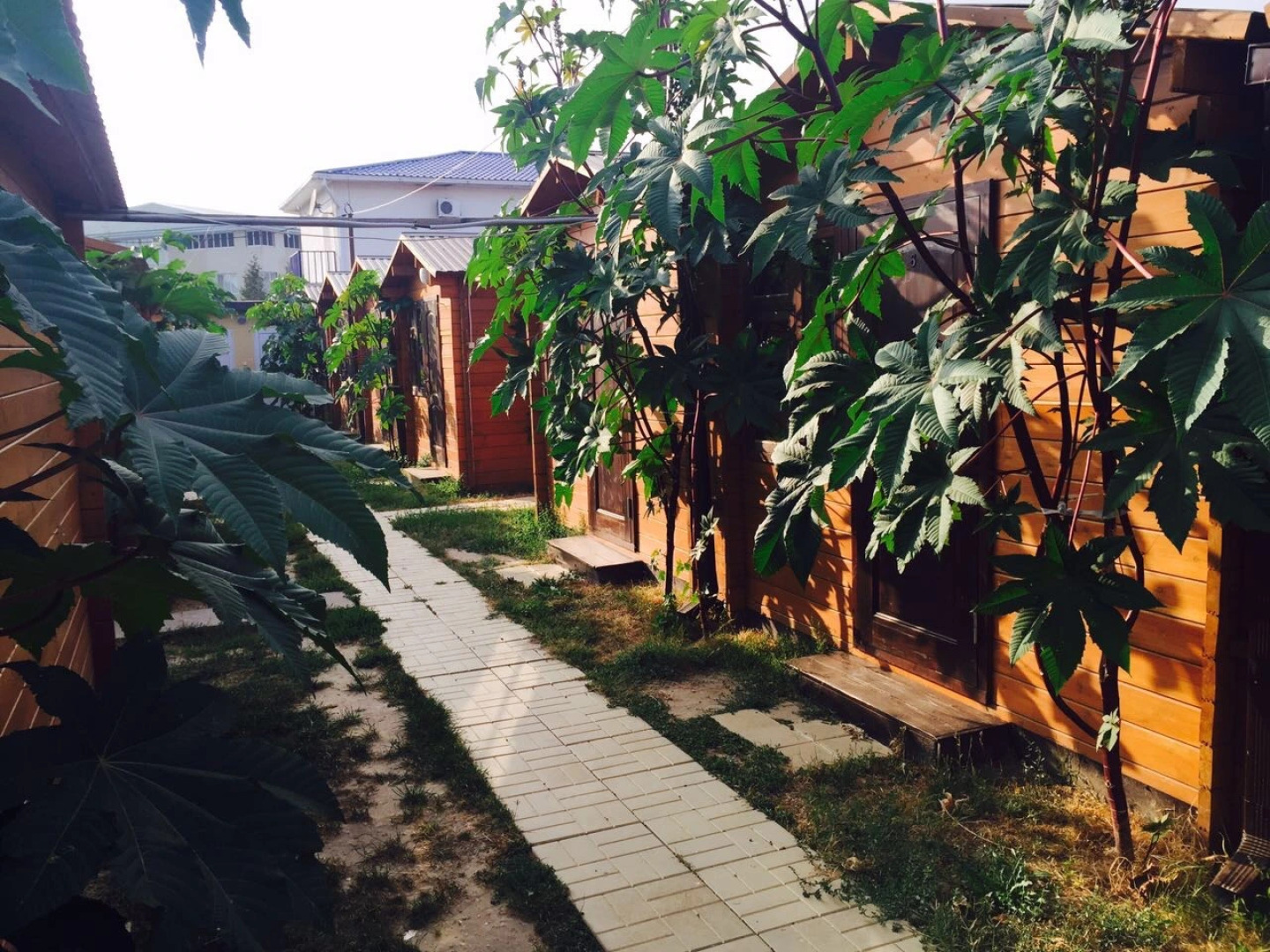 Гостевой дом Holiday Park Olimp