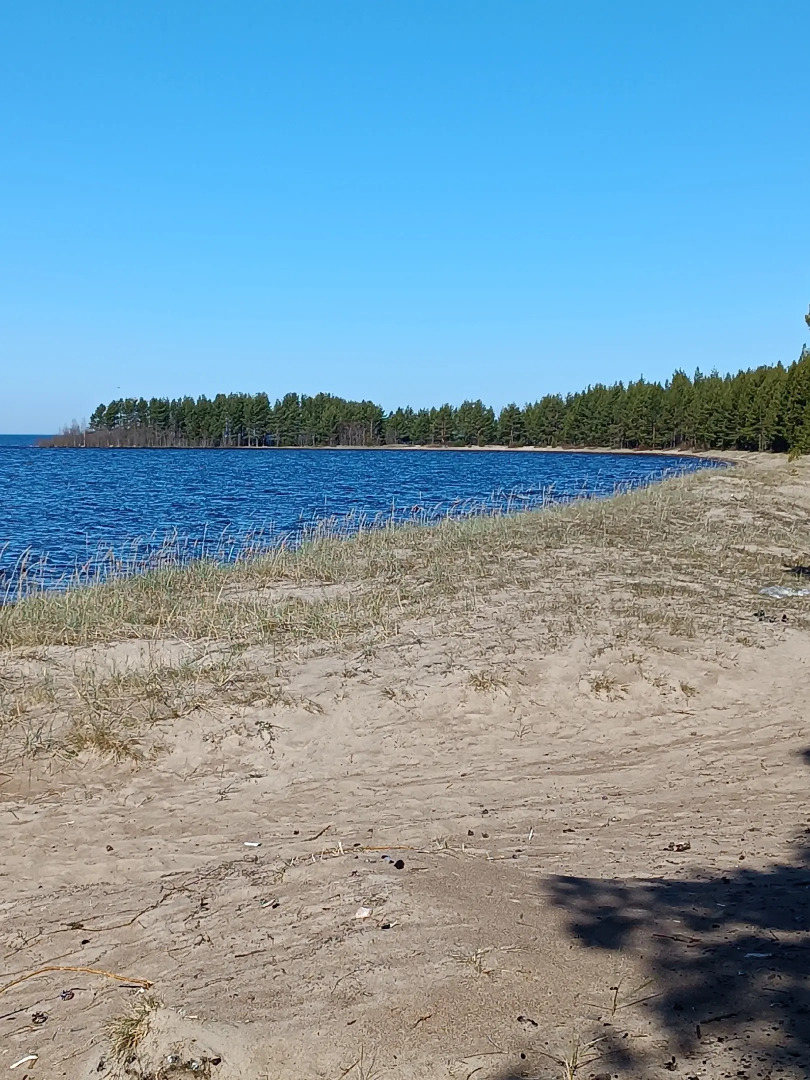 Гостевой дом с сауной вблизи реки и озера Ладоги Лисий берег