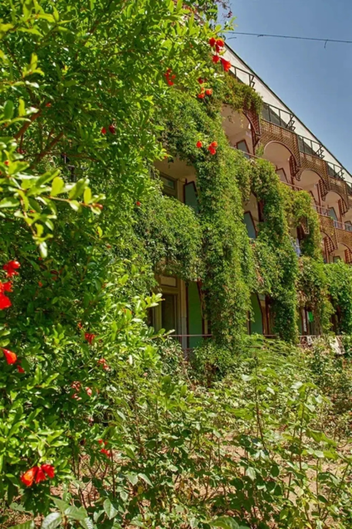 Пансионат Бриз