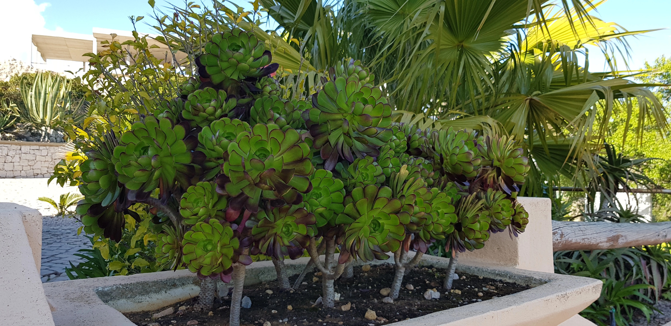 Estrada de Cerro da Alfeição Villa	