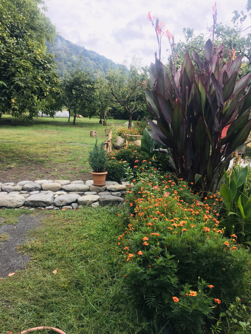 Guesthouse STAR Lagodekhi