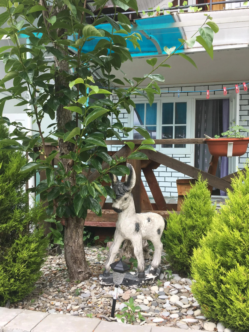 Гостевой Дом Ника