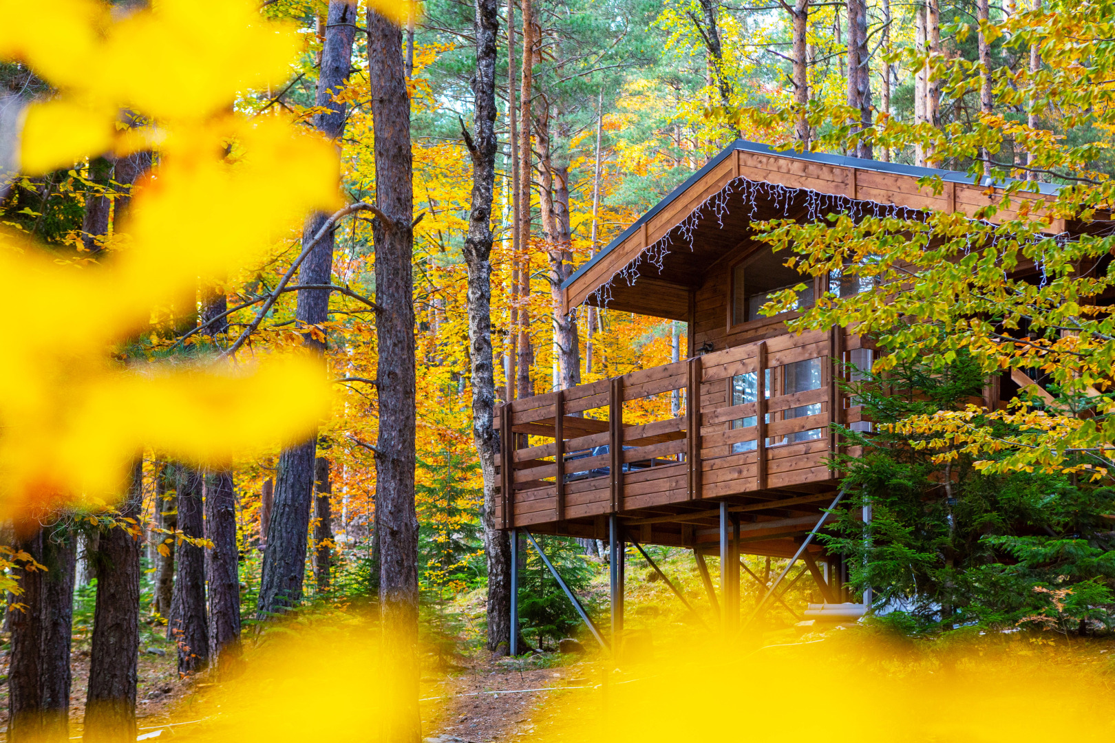 Отель Нарния