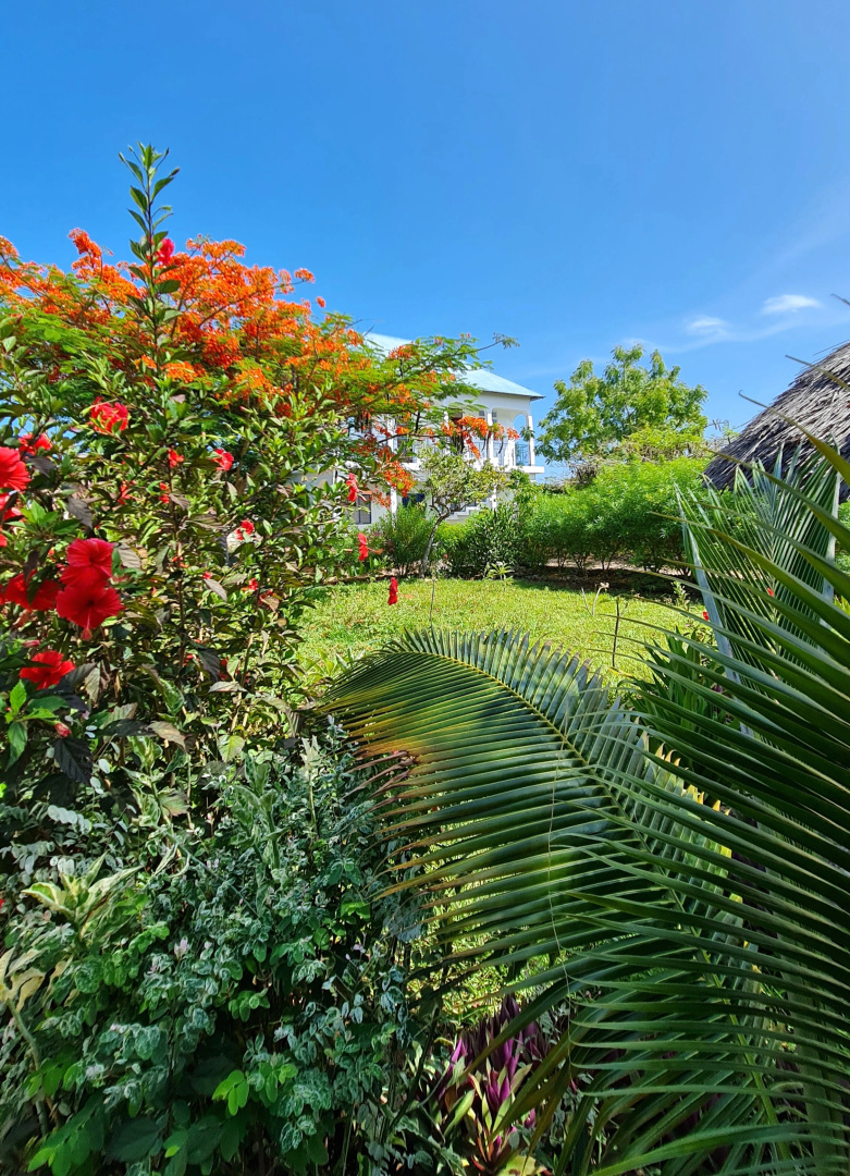 Вилла Frangipani House Zanzibar Nungwi