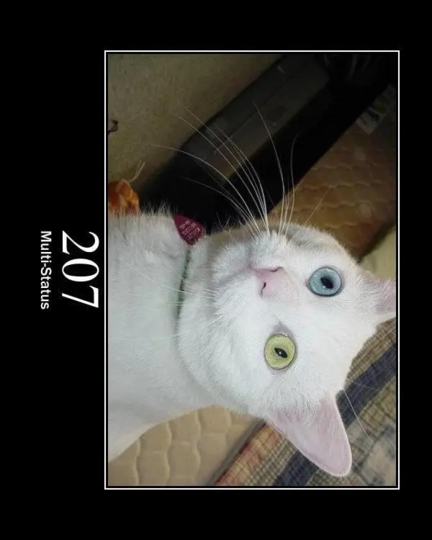 Test Hotel (Do not book) test