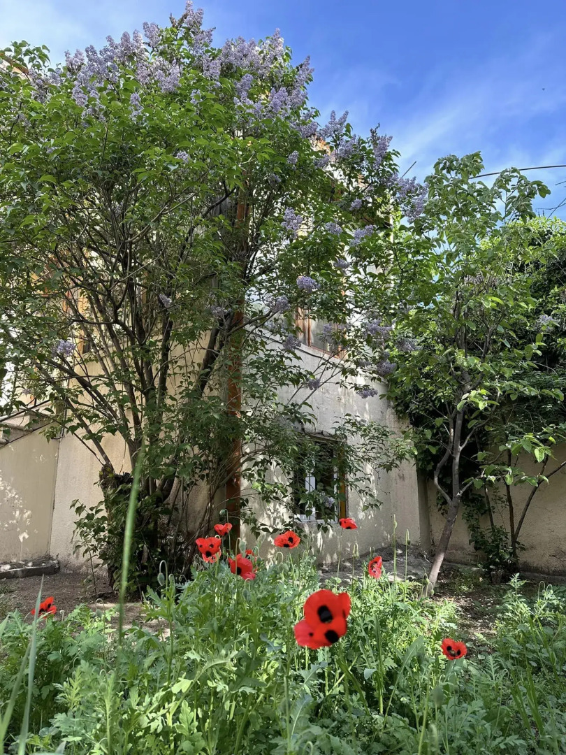 Гостевой дом Popock City Center