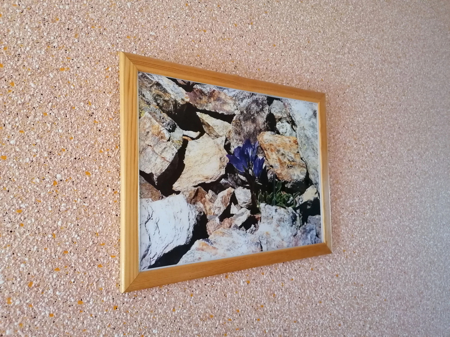 Меблированные комнаты Свирский