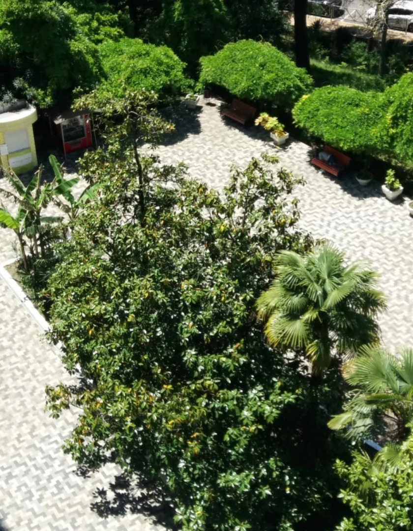 Апартаменты Гости Сочи