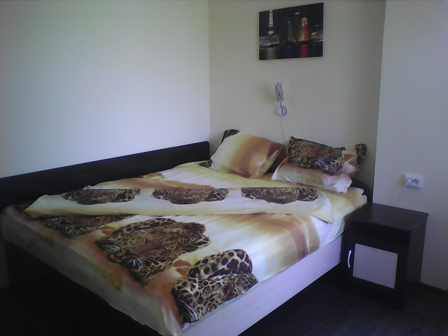 Меблированные комнаты Виталина