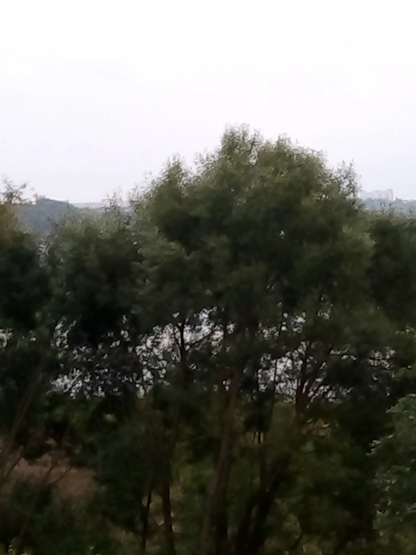 Гостевой Дом Родничок