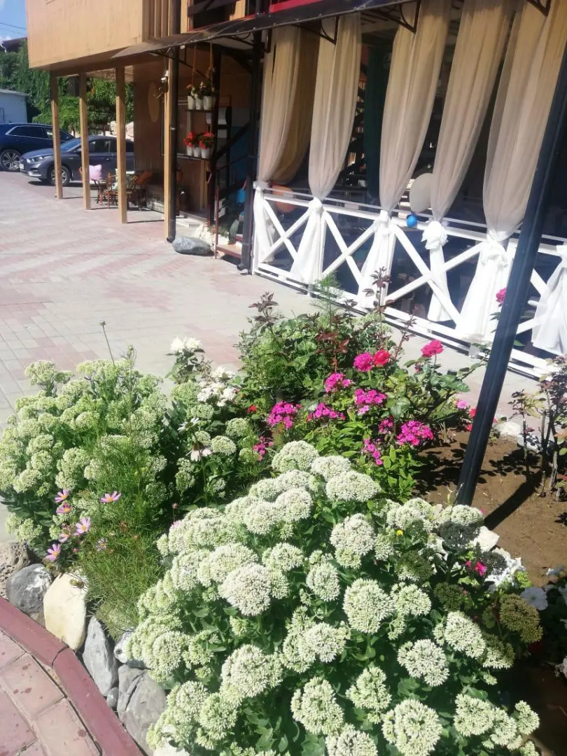 Отель Ласточка 117