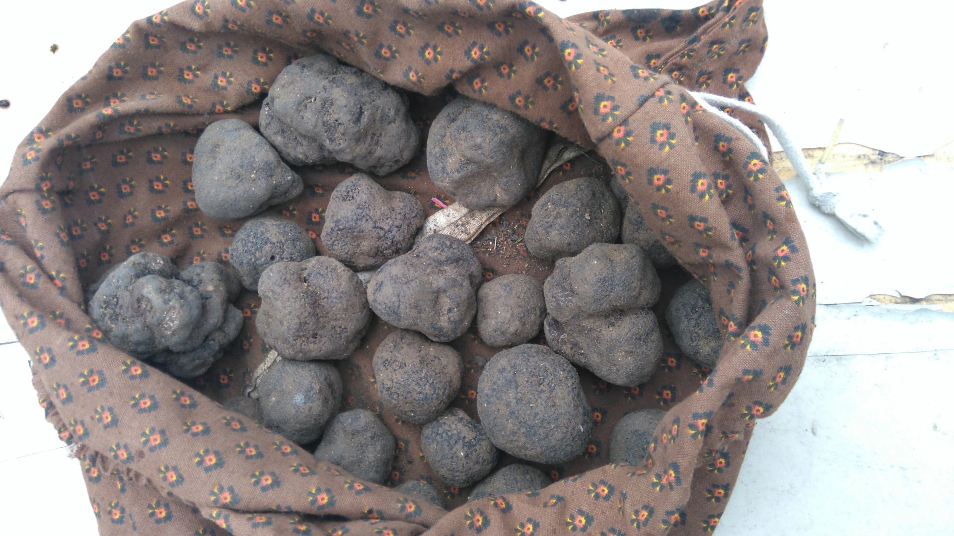 Гостевой Дом Mas de Cocagne en Provence