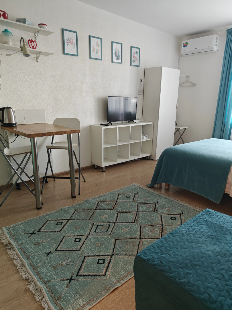 Студия Flamingo метро Ладожская