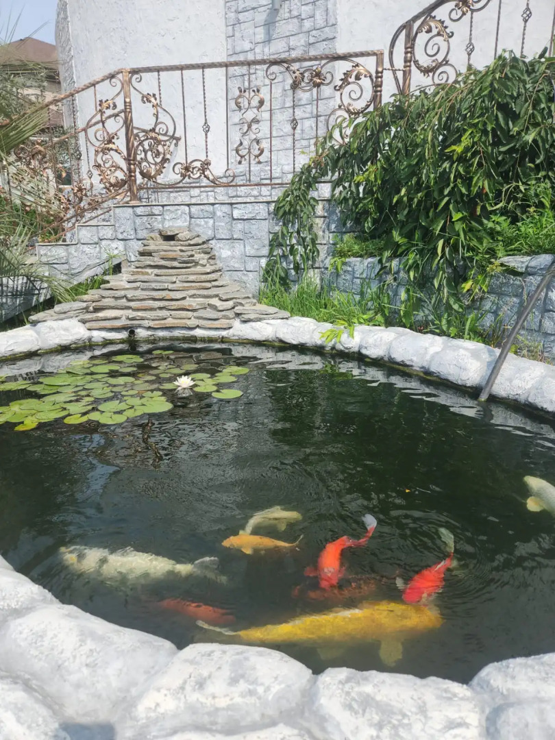 Апартаменты в Сириусе с видом на море и Олимпийский парк