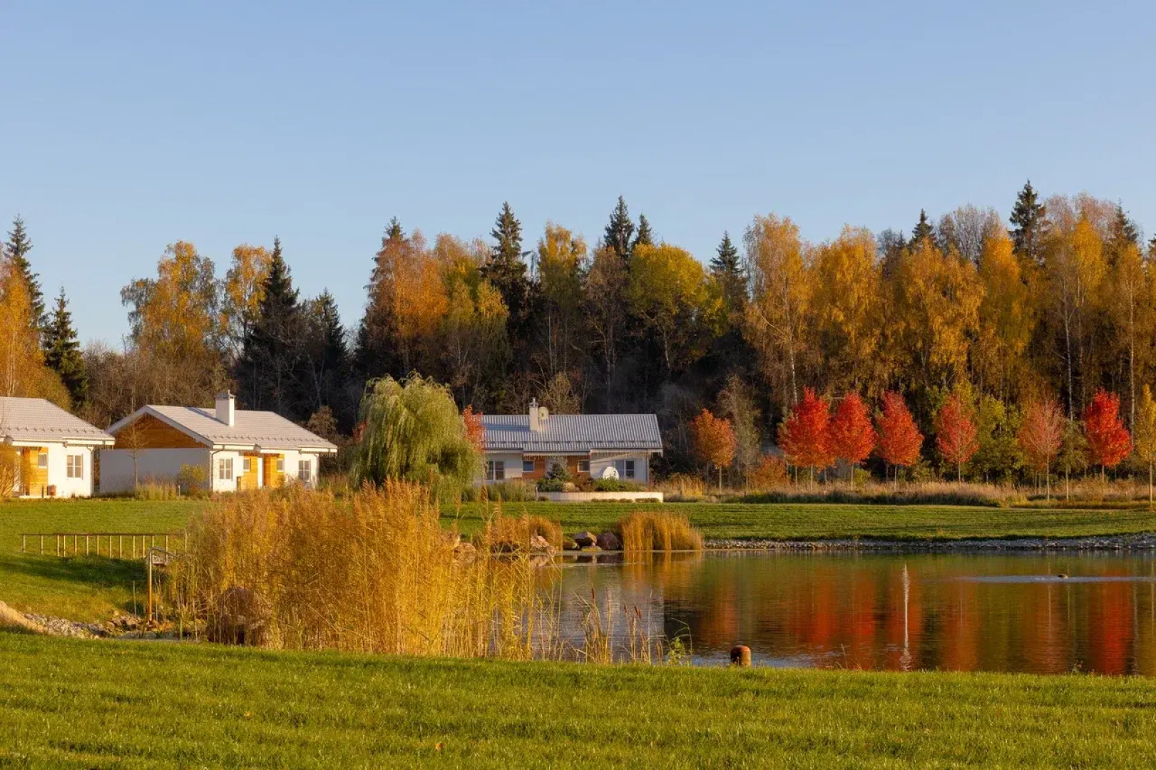 База отдыха Коттеджи Фермы М2