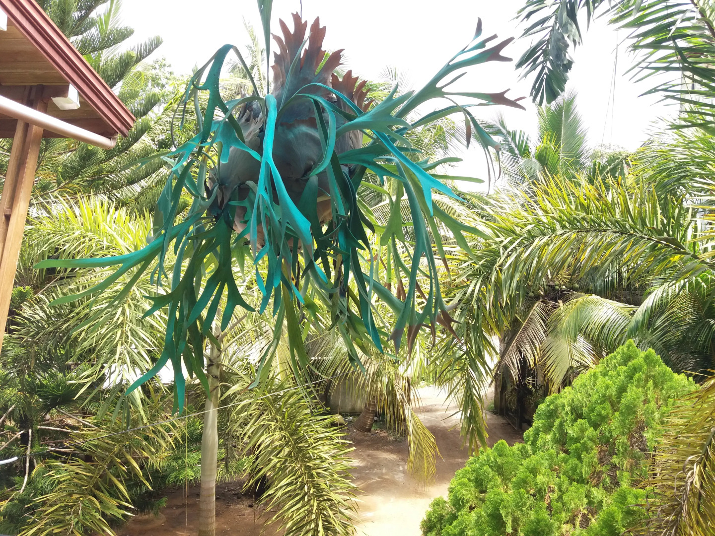 Вилла Four Seasons