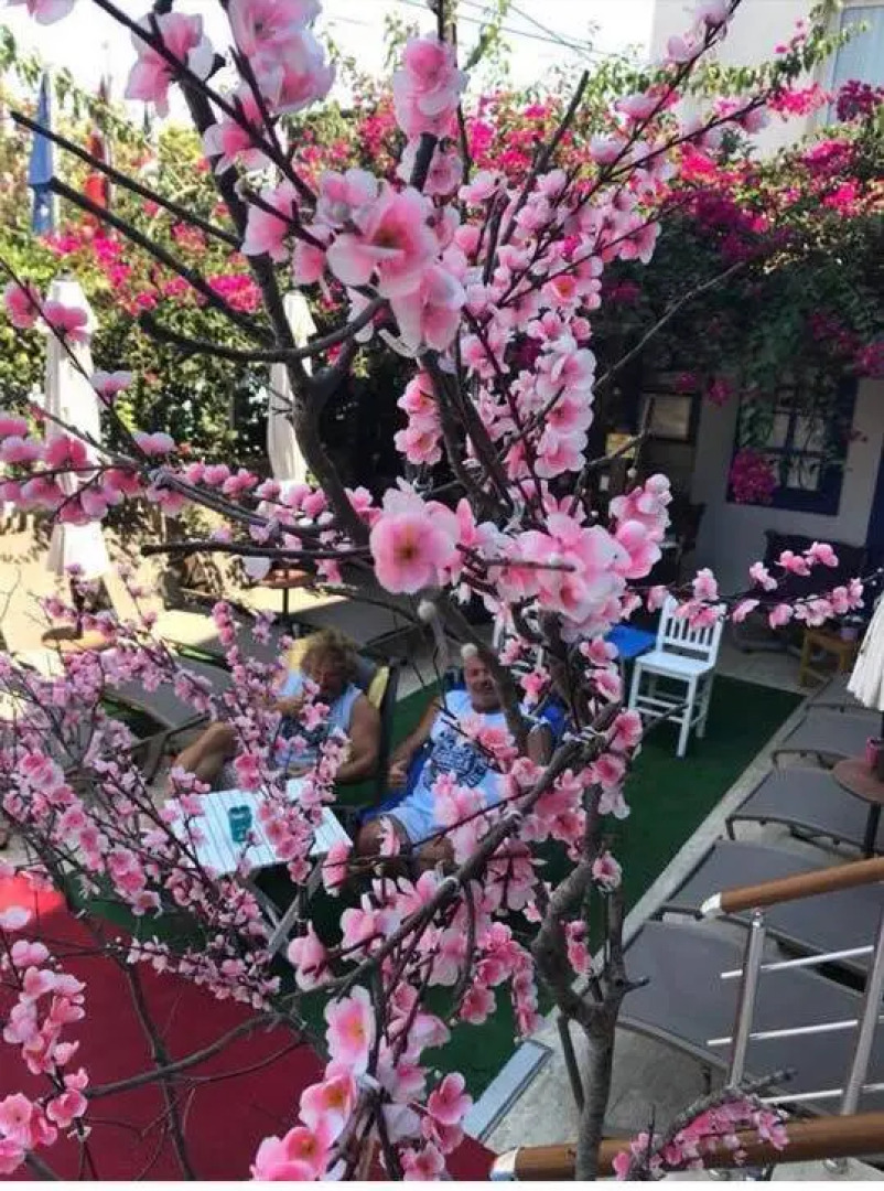 Отель Caglar My House