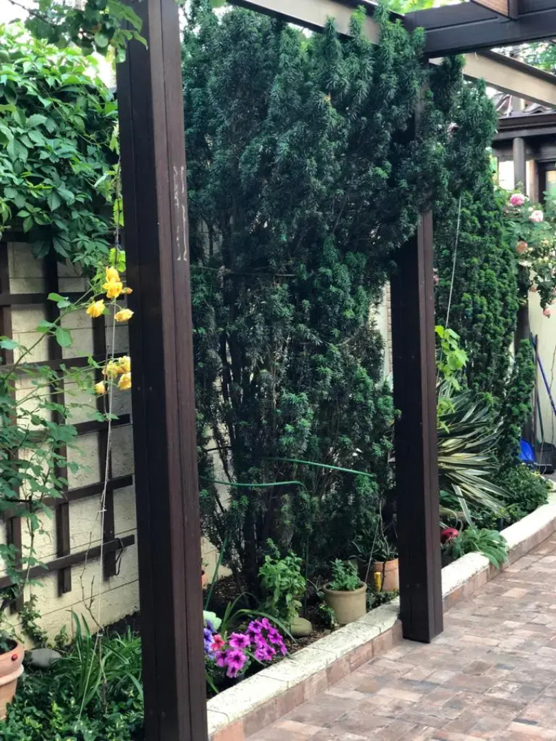 Жилое помещение частный дом