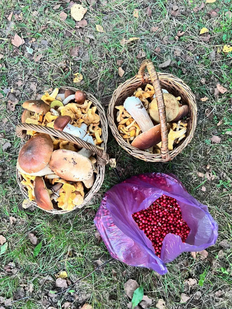 Частный дом с чаном на дровах в ЭКО дуб