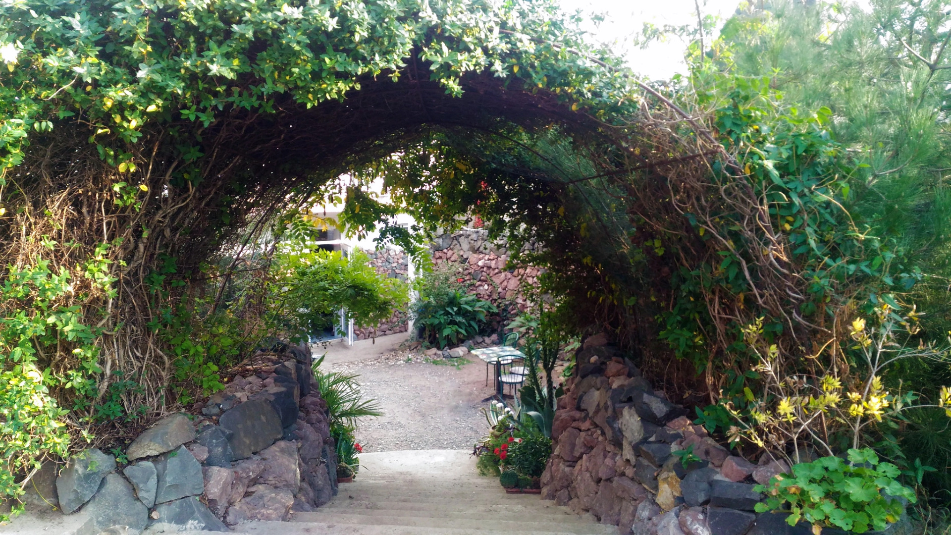 Гостевой Дом Адель Николаевка Крым