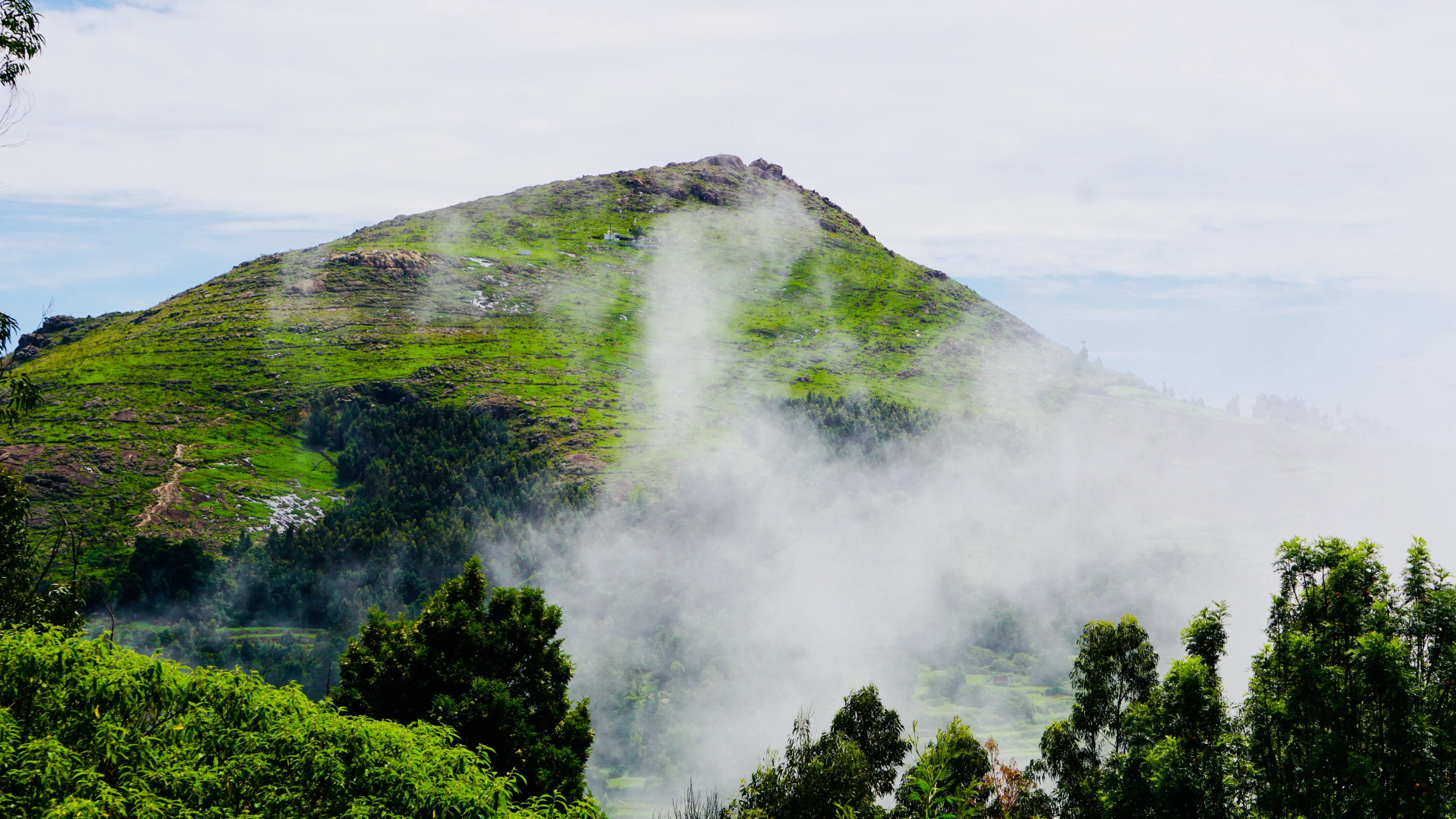 Отель La Niebla Farm Resort
