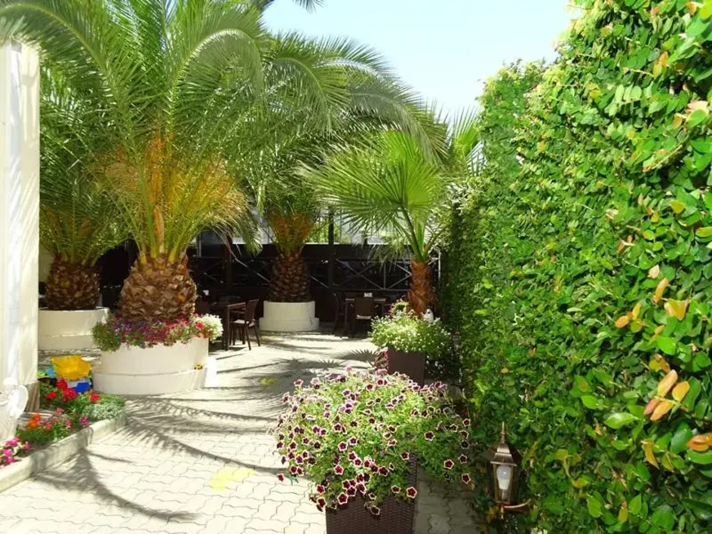 Гостевой дом Пальма парк