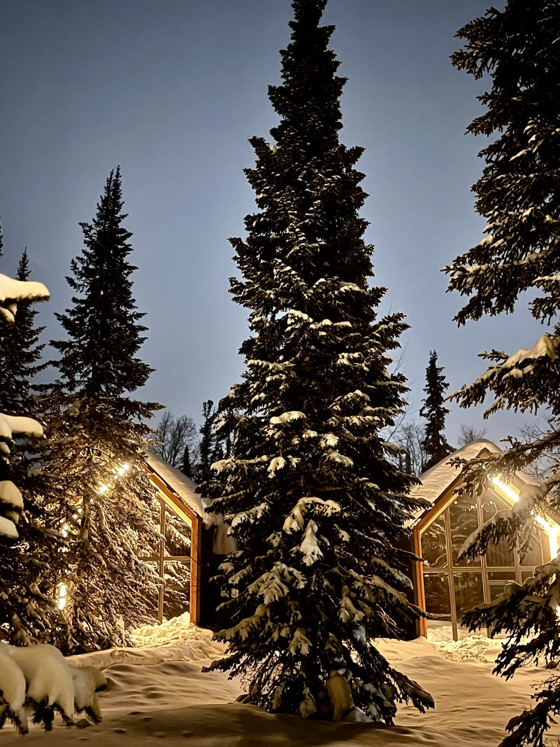 Шале GATSBY в стиле BarnHouse