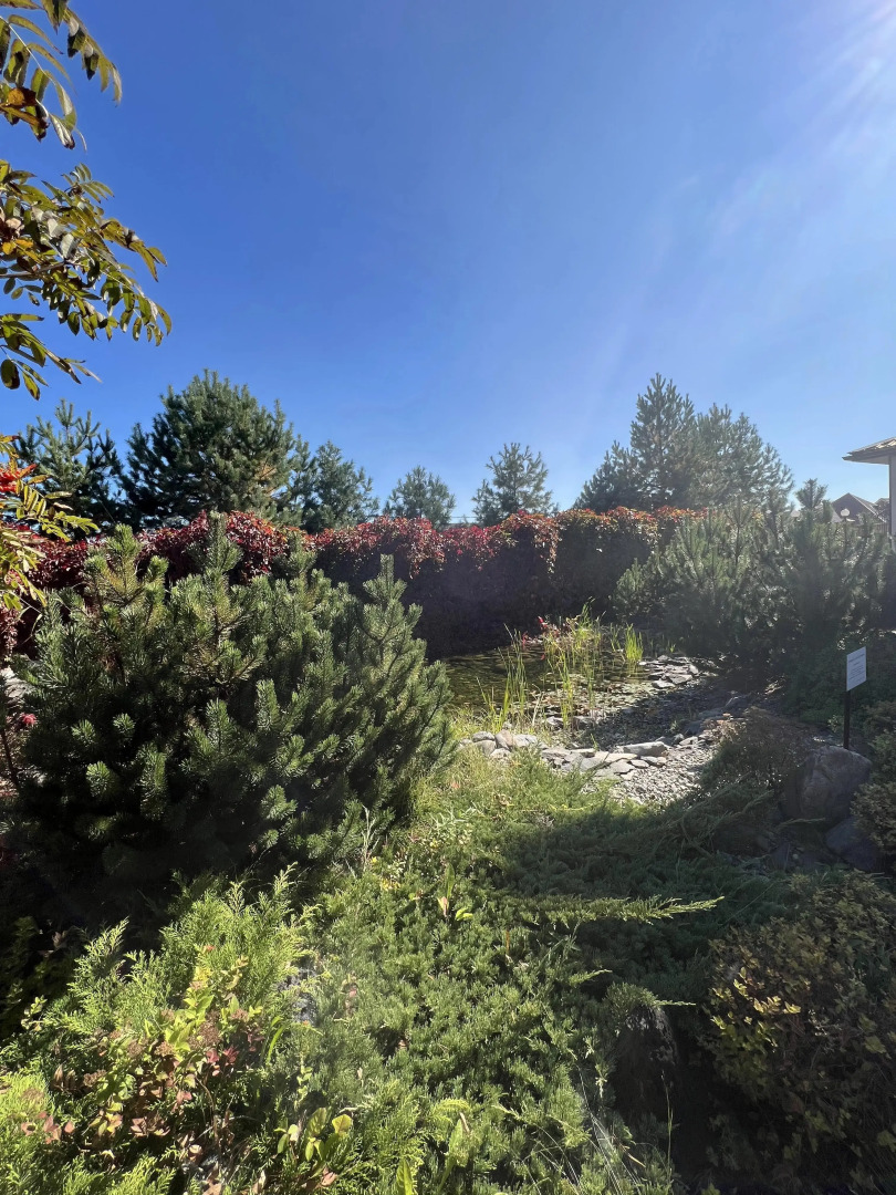 Отель Сокольники