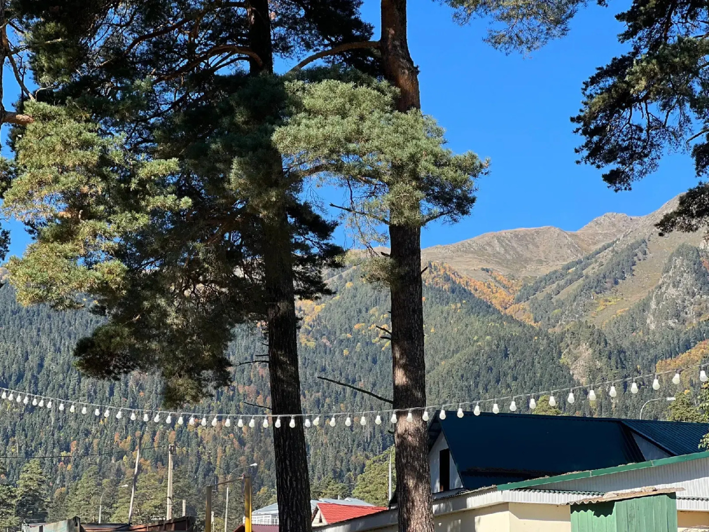 База отдыха Сосновый Рай