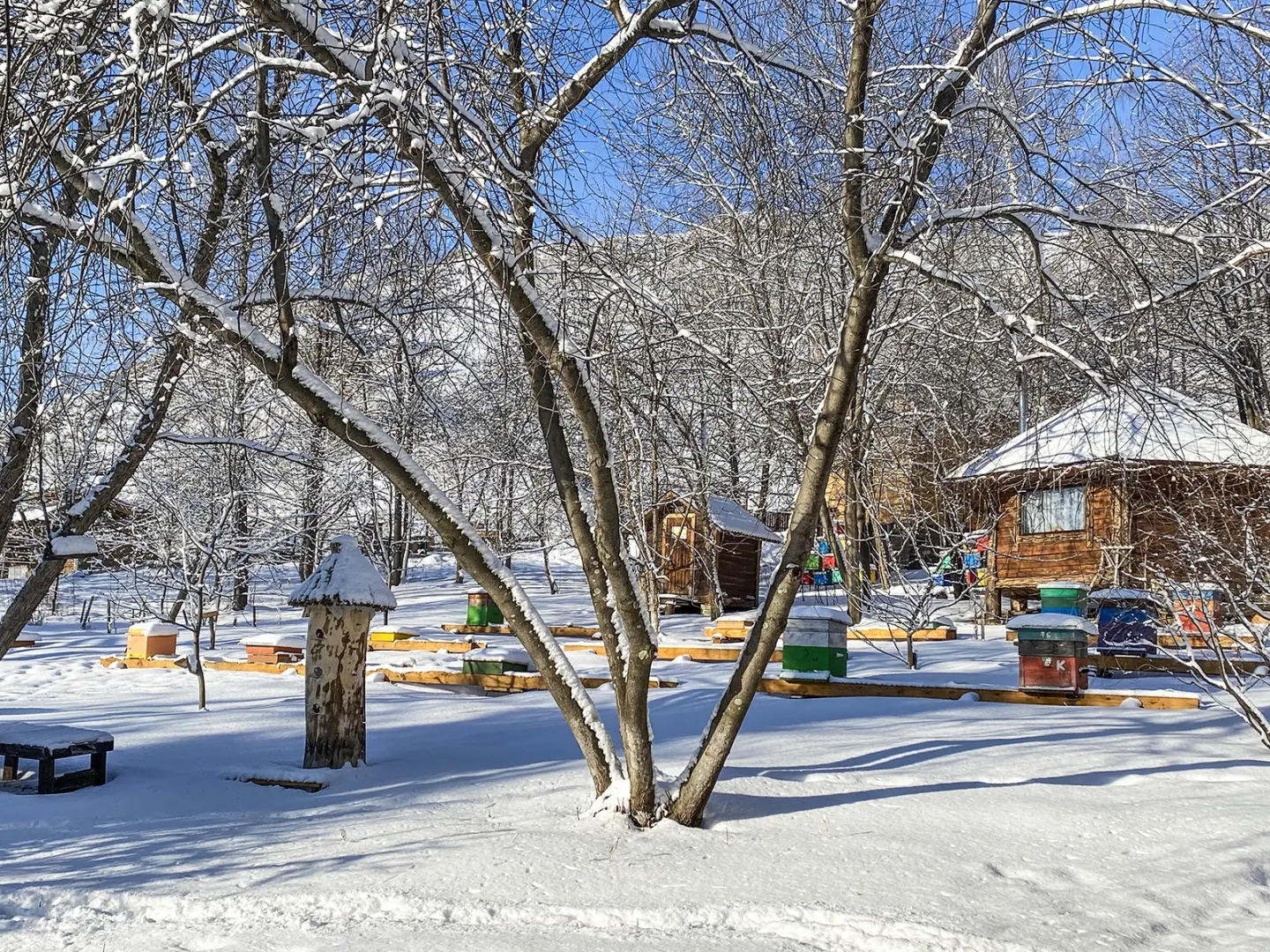 База отдыха Усадьба Сокол