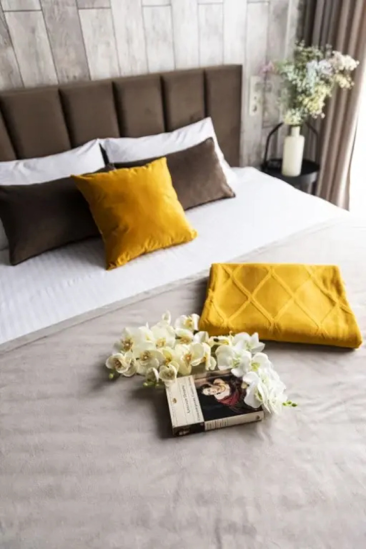 Апартаменты Пушкин г.Краснодар 2