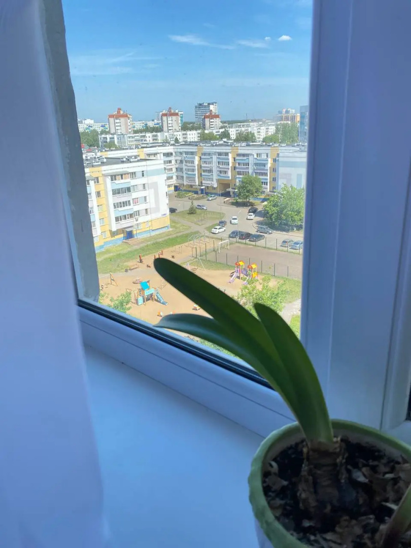 Квартира 2х Комнатная Просторная Светлая с Потрясающим Видом на Город