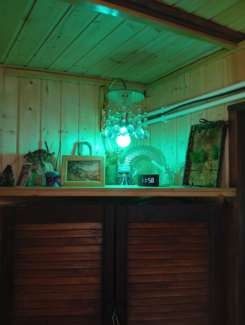 Частный дом с сауной