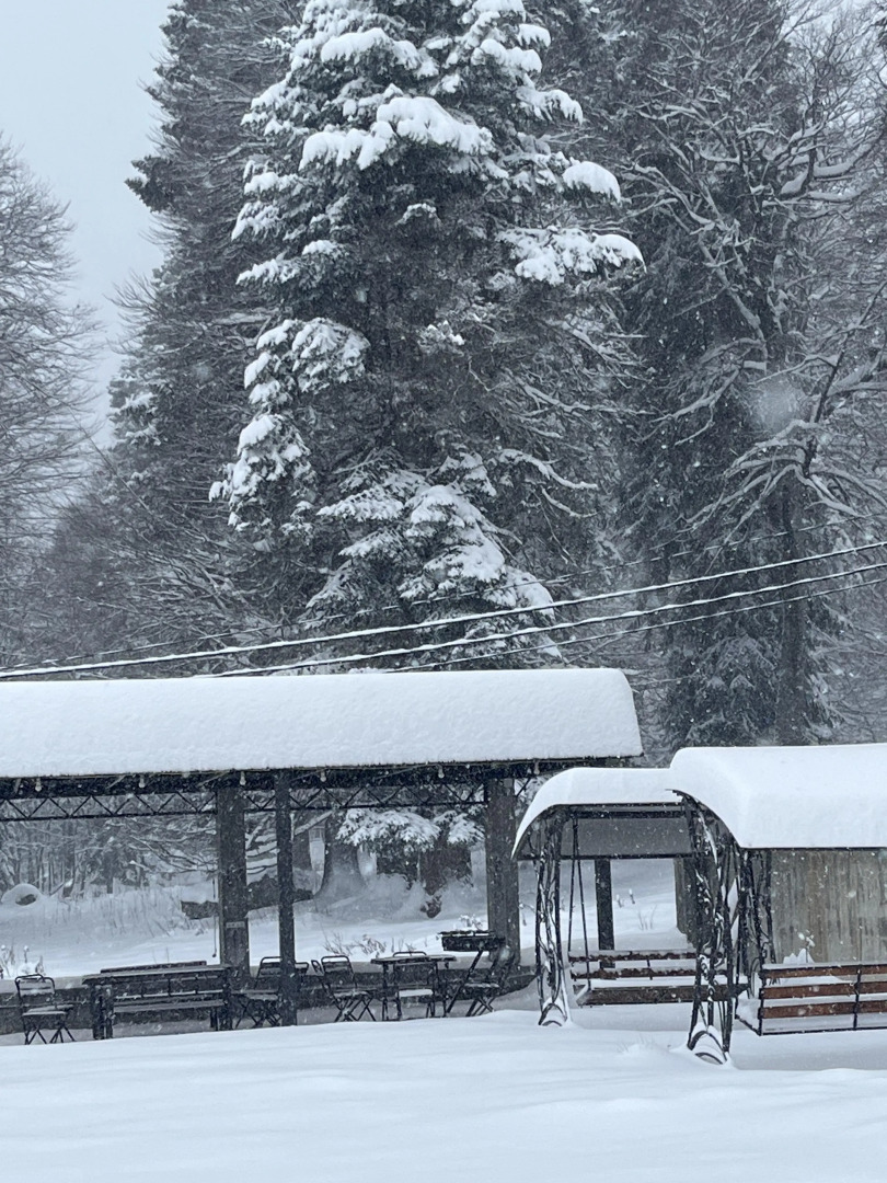 База семейного отдыха Daliya