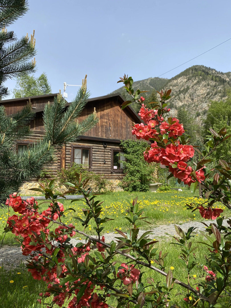 Гостевой Дом Чегет