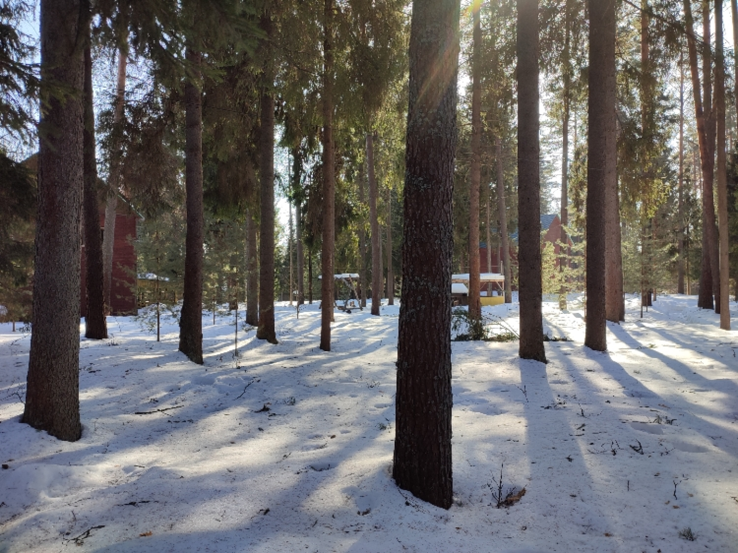 База отдыха Плещеево