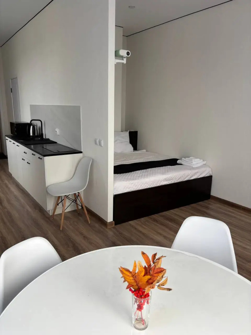 Квартира с проектором у метро в новом доме