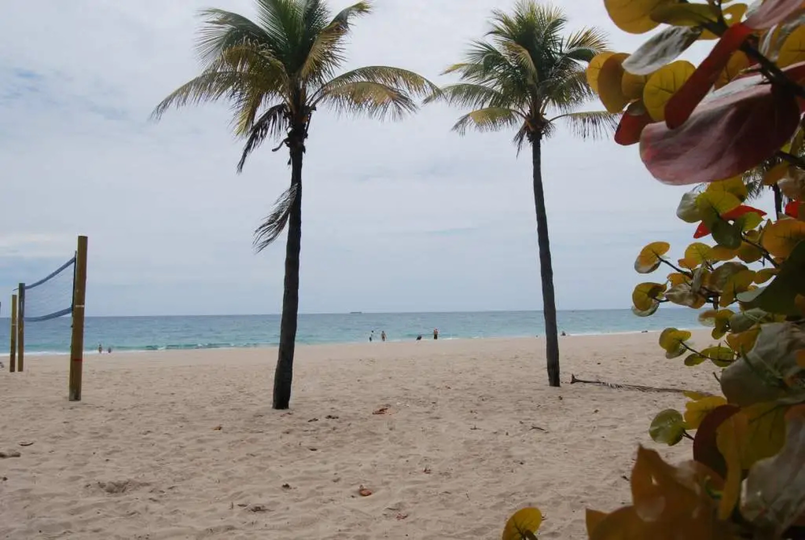 Отель Best Florida Resort