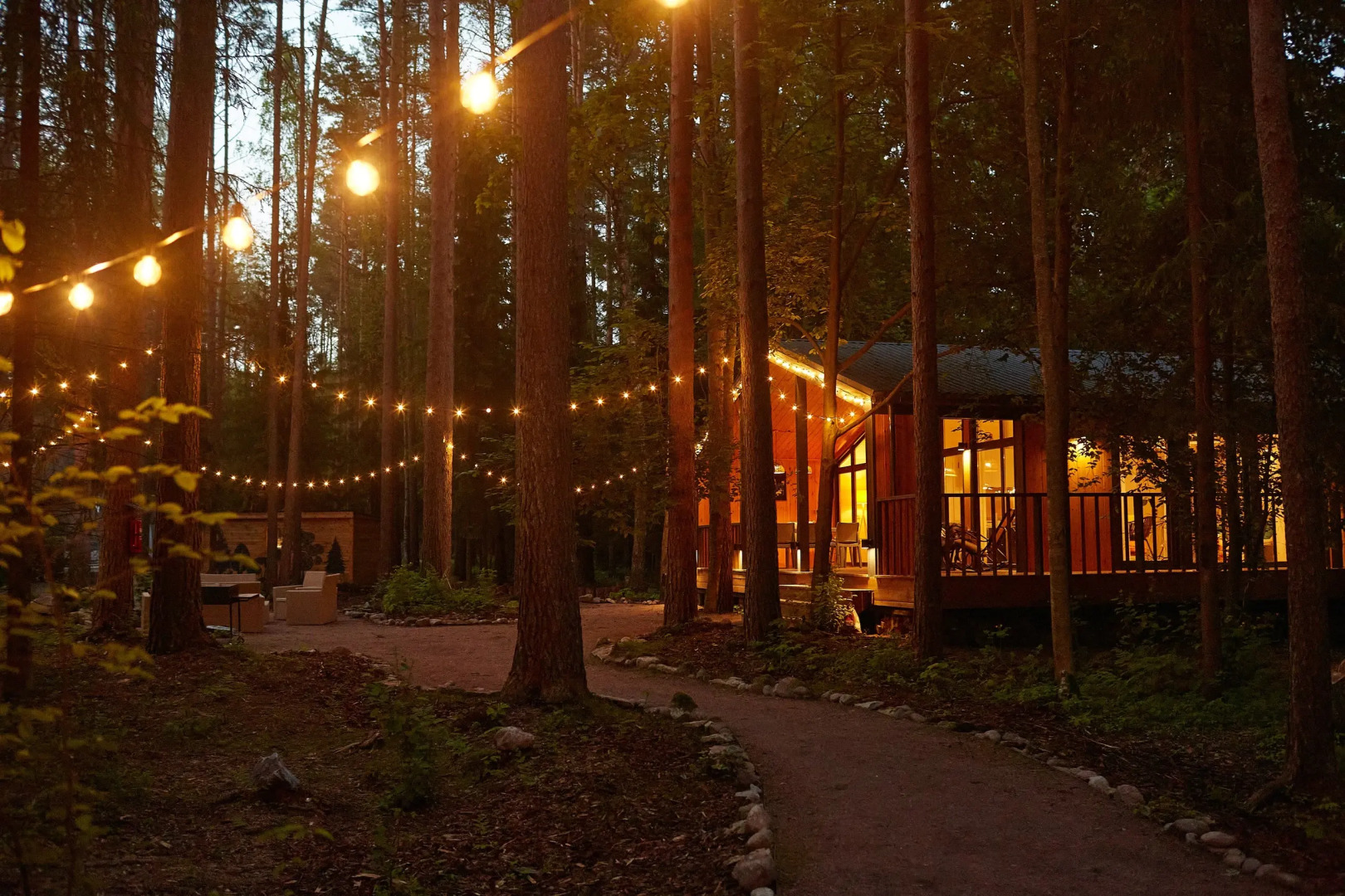 Частный дом Большая Репинская дача в лесу