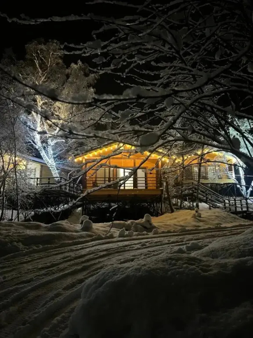 Частный дом Веселые гуси 1